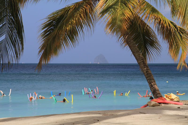 Martinique Photos Anse FiguierPhotos Antilles Martinique, Ile de SaintMartin Martinique Photos Anse FiguierPhotos Antilles Martinique, Ile de SaintMartin