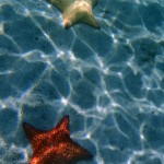 Anse d'Arlets - Martinique