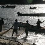 Anse Dufour - Martinique