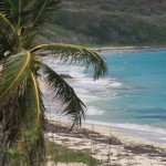 Cap Macré, Anse Grosse Roche - Martinique