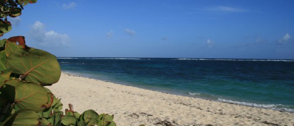 Plages Martinique Macré