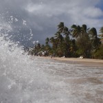 Martinique - Sainte-Anne - Plage des Salines