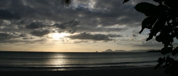 Les salines en Martinique