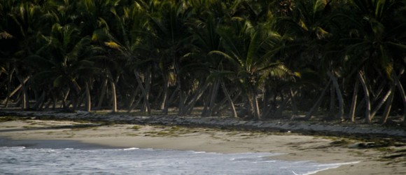 Plages Martinique Anse Macabou