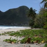 Plage du Diamant et Morne Larcher