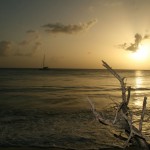 Martinique - Les Salines