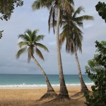 Martinique - Sainte-Anne - Les Salines