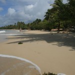 Martinique - Sainte-Anne - Les Salines