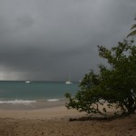 Martinique - plage des Salines