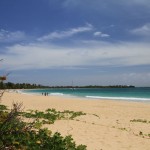 Martinique - Sainte-Anne - Les Salines