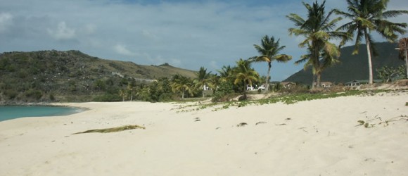 Saint-Martin FWI