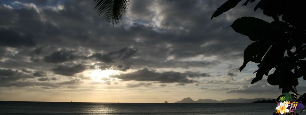 Martinique - les Salines