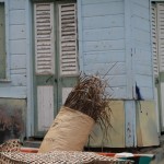 Martinique : Grande Anse