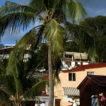 Martinique - Anse Dufour