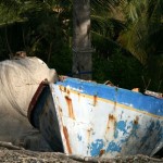 Martinique - Anse Dufour