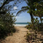 Plage de Anse Trabaud