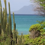 Martinique - Les Salines