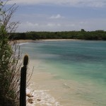 Martinique - Les Salines