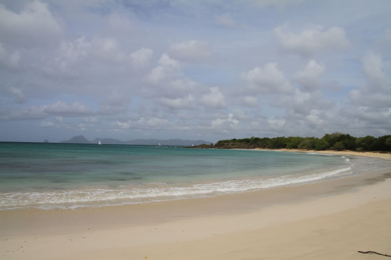 Martinique Plage de Petite Anse des Salines Trace des CapsPhotos
