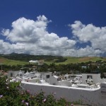 Le cimetière