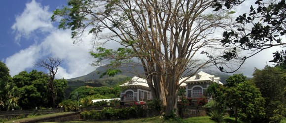 Martinique Depaz