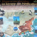 Savane des Pétrifications