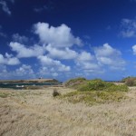 Savane des Pétrifications