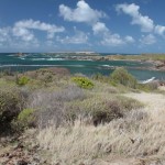 Savane des Pétrifications